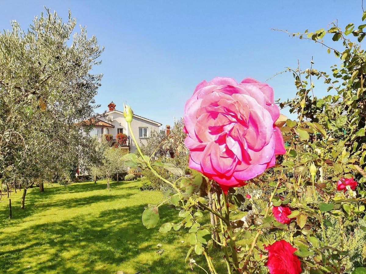 Apartments Durda Fažana Dış mekan fotoğraf