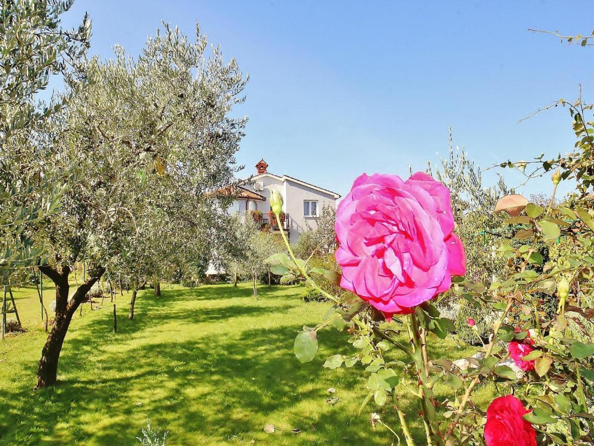 Apartments Durda Fažana Dış mekan fotoğraf