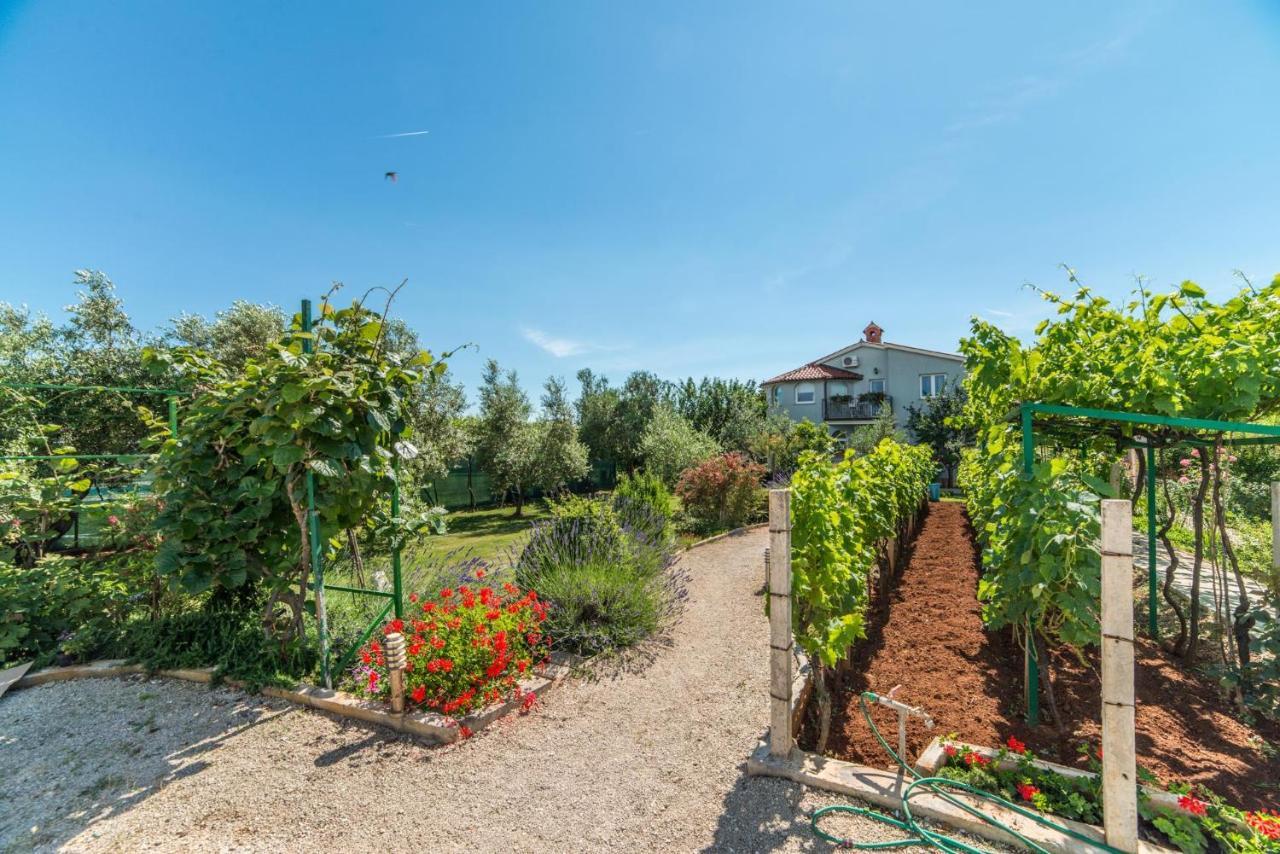 Apartments Durda Fažana Dış mekan fotoğraf